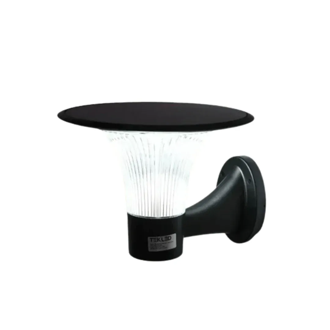 DZ 15 W Solar LED Wall and Pathway Light, Black