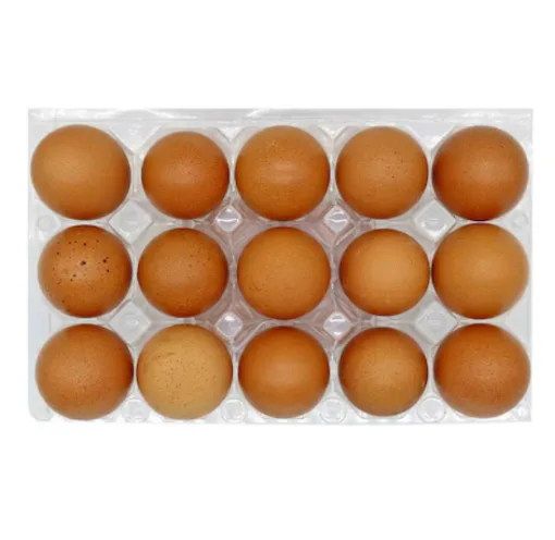 Ginageo farm eggs, 15