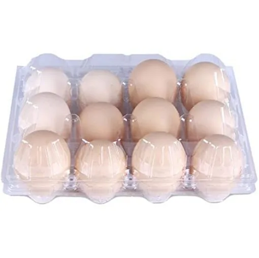 Great Ansah eggs, 12