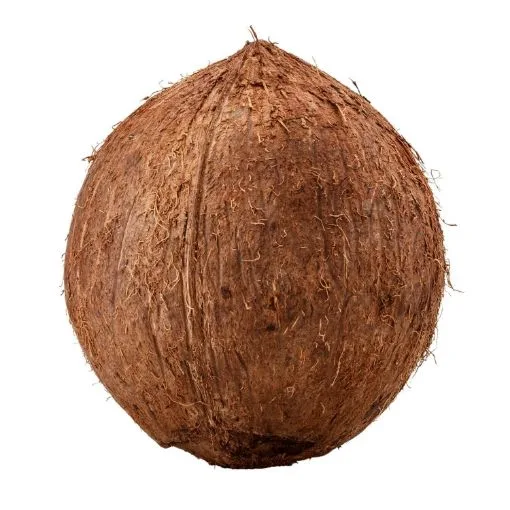 Coconut, each