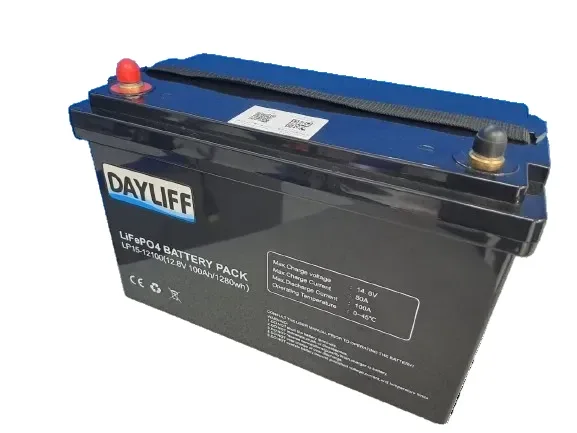 Dayliff DLIP 24 V 100 Ah lithium solar battery (2.6 kWh)