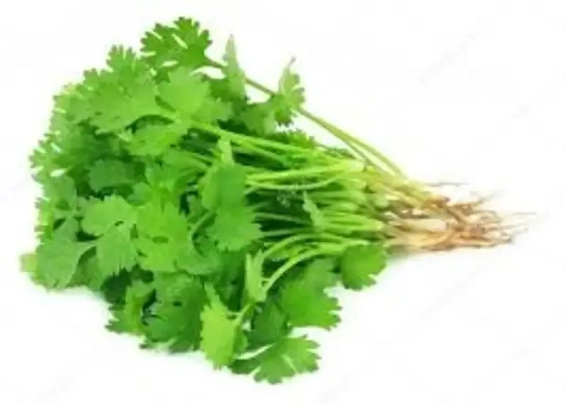 Dhania (Coriander), Bunch