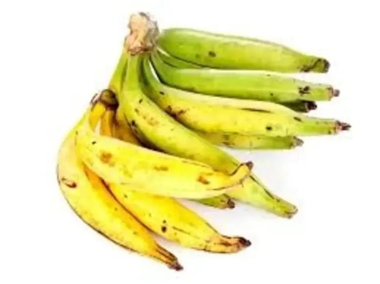 Plantain Bananas