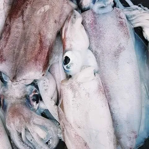 Ngisi, kwa kilo