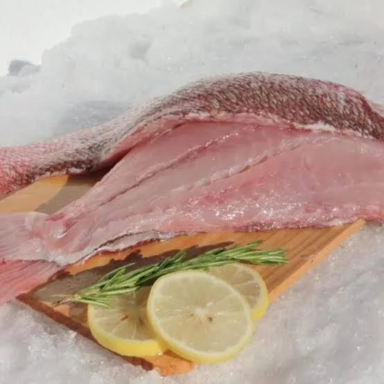 Minofu ya red snapper bila miiba, kwa kilo
