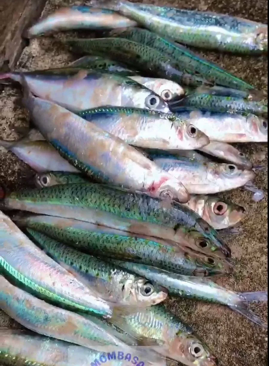 Simusimu, kwa kilo