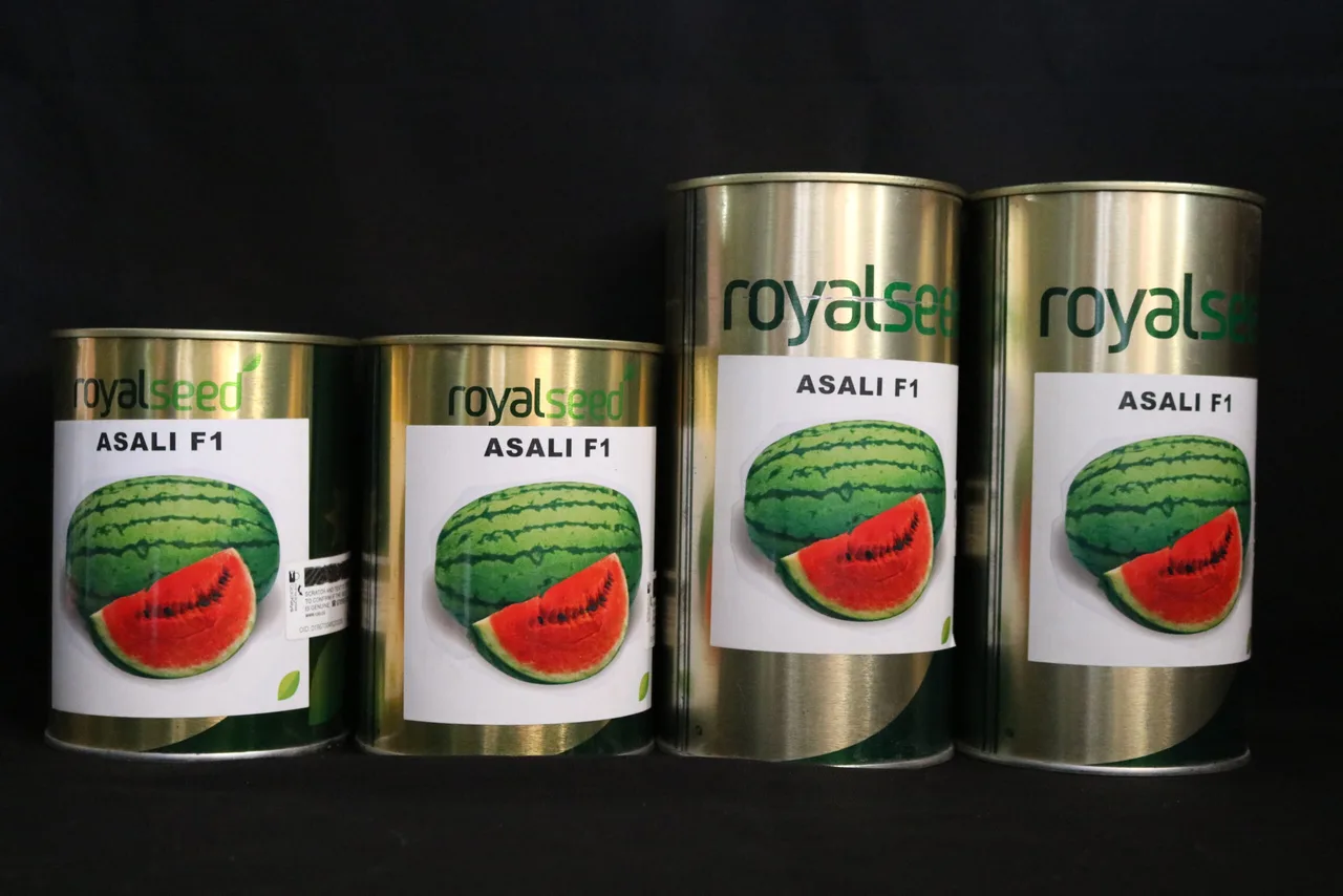 Royal Seed watermelon Asali F1 seed 250 g