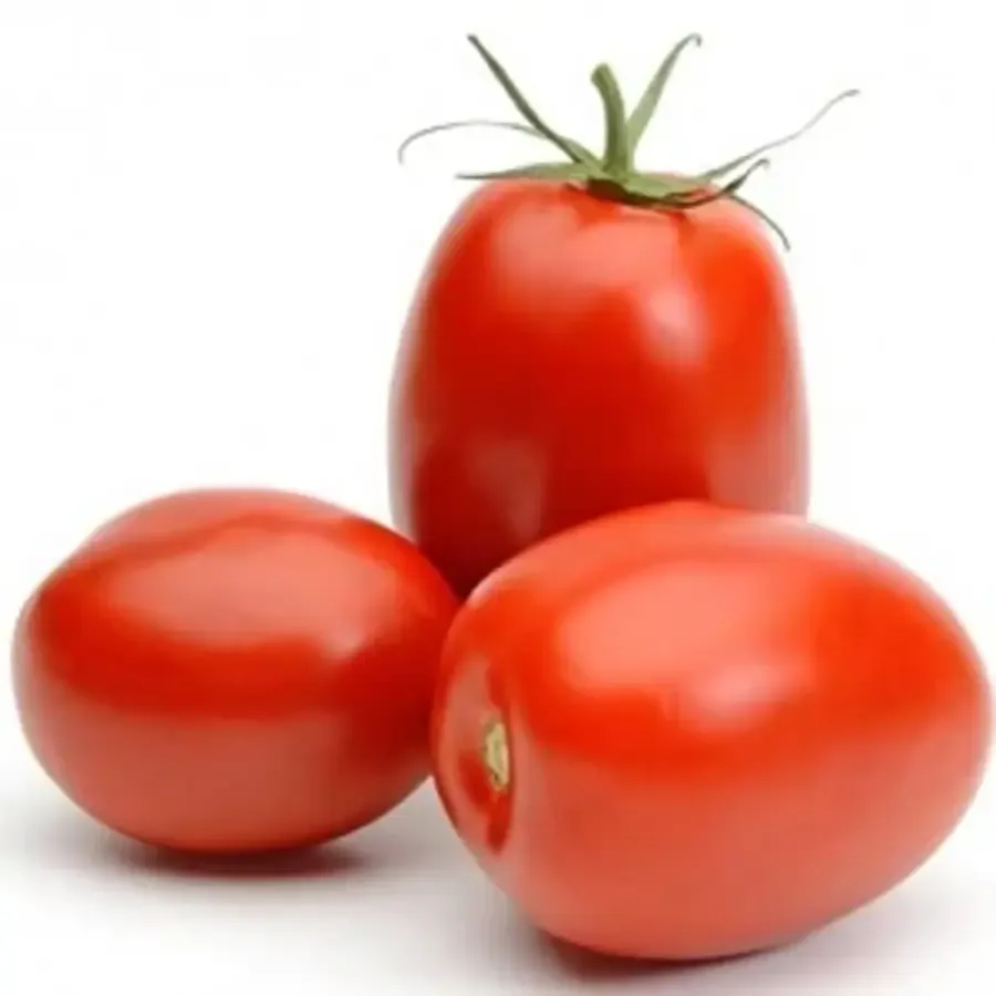 Tomatoes