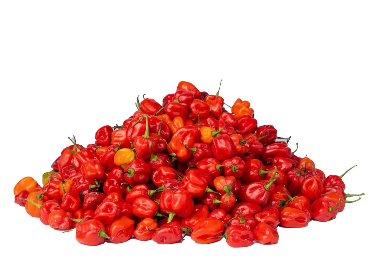 Ata rodo (scotch bonnet pepper), grade A, 1 kg