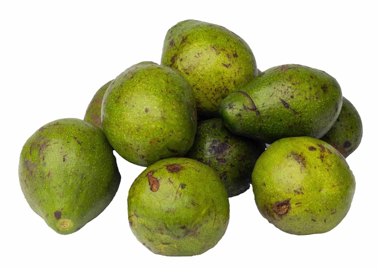 Avocado, medium
