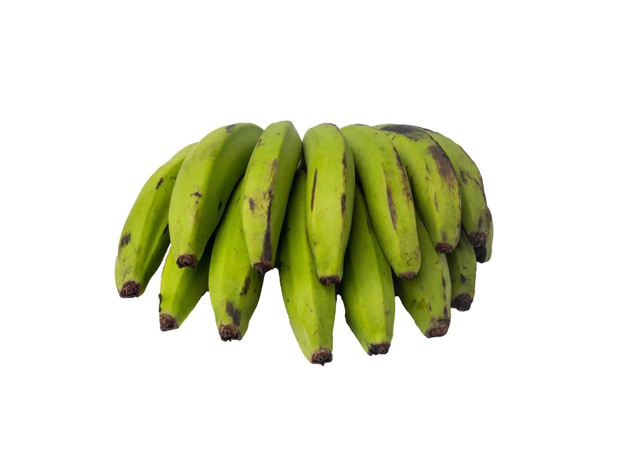 Bananas, unripe, medium bunch