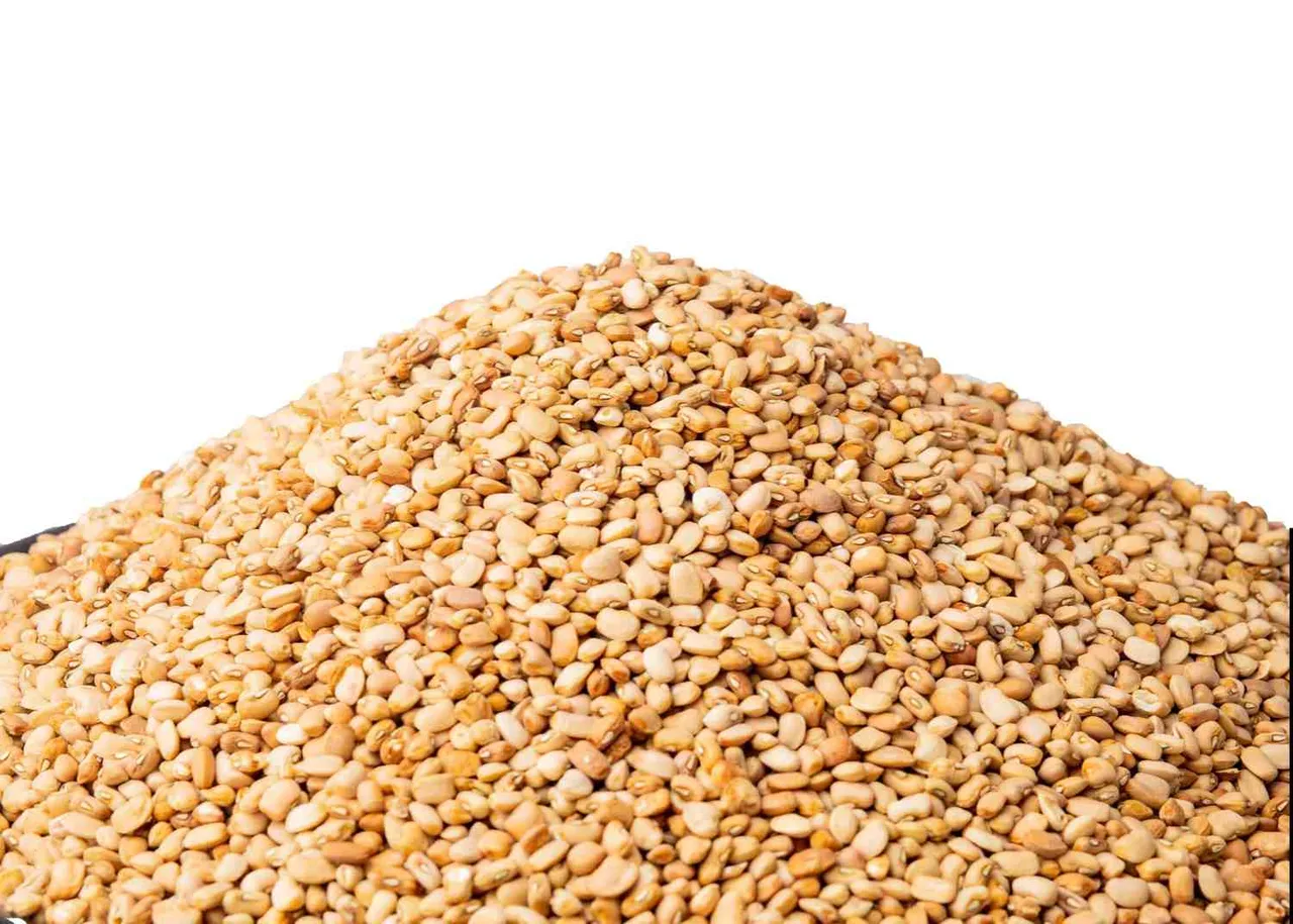 Oloyin honey beans, 1 derica (600 g)