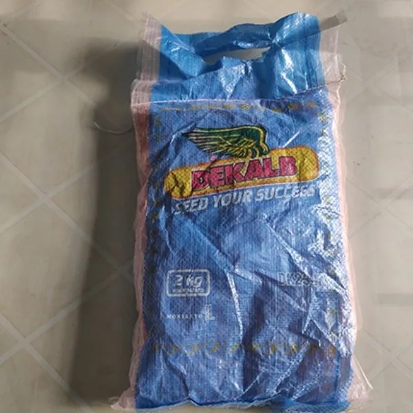 Dekalb DK234 hybrid maize seed, 2 kg