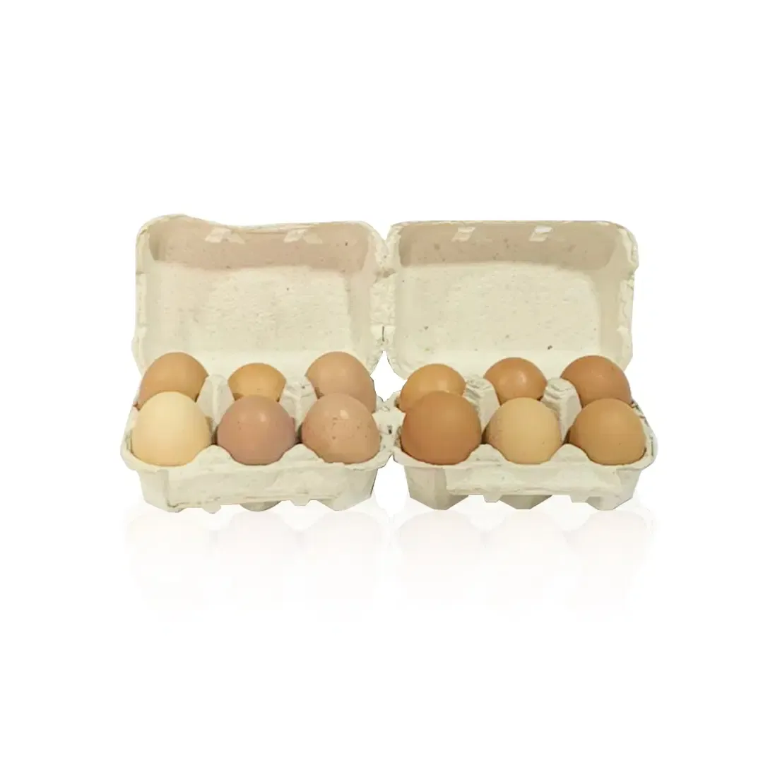 Eggs, half crate of 15