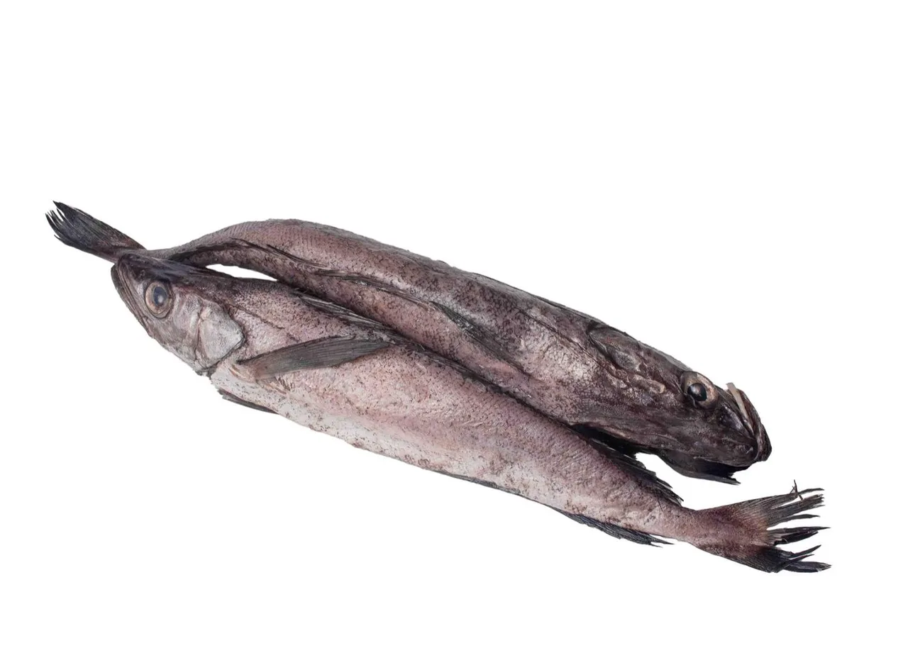 Hake fish (panla), 1 kg