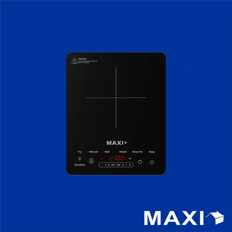 Maxi 2100 W induction cooker (WT2103C)