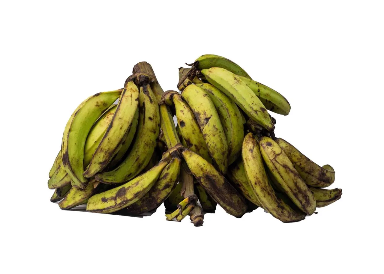 Plantain, unripe, 1 hand