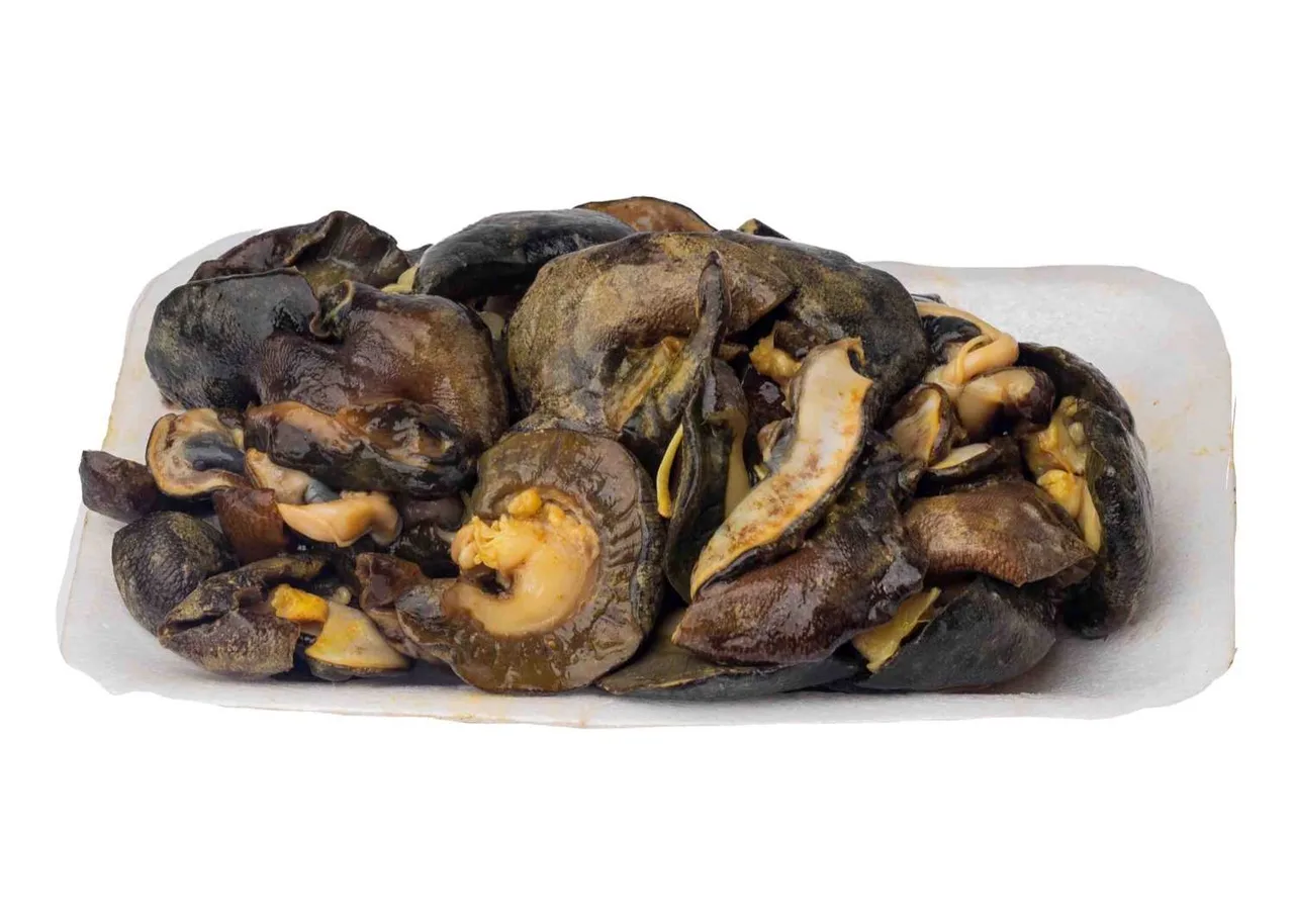 Snails, medium, 5 pieces