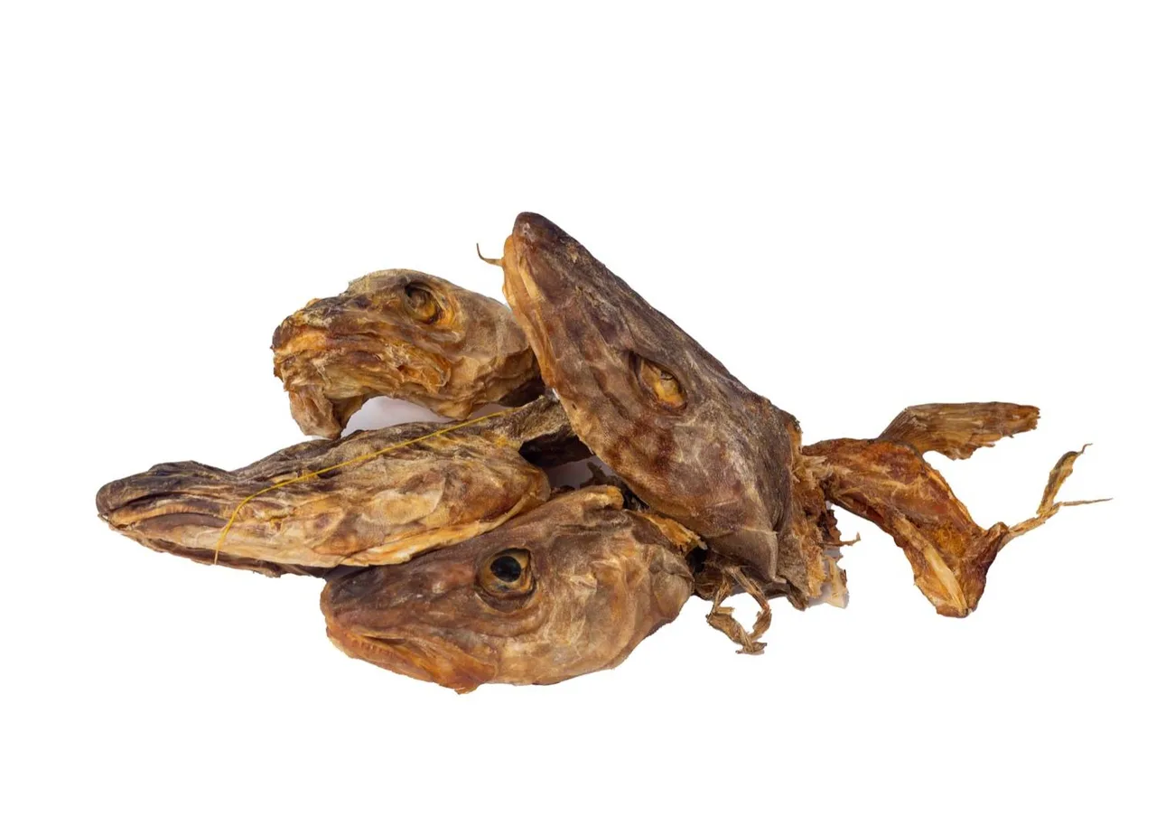 Stockfish head, medium
