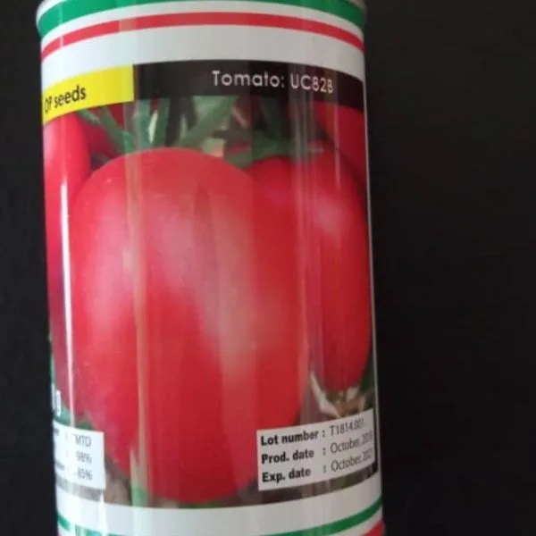 UC82B tomato seed, 100 g tin