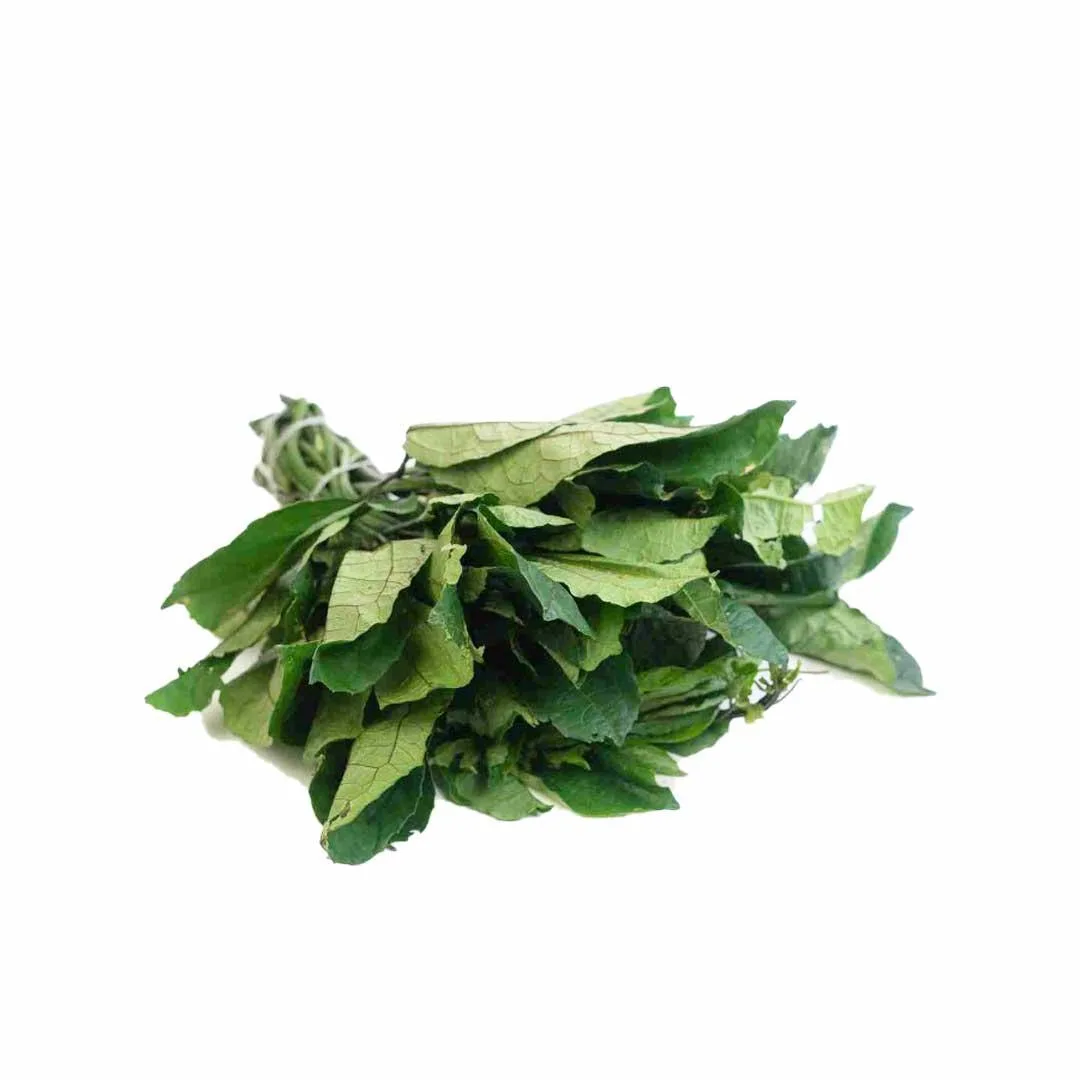 Ugu (fluted pumpkin leaf), 1 bunch