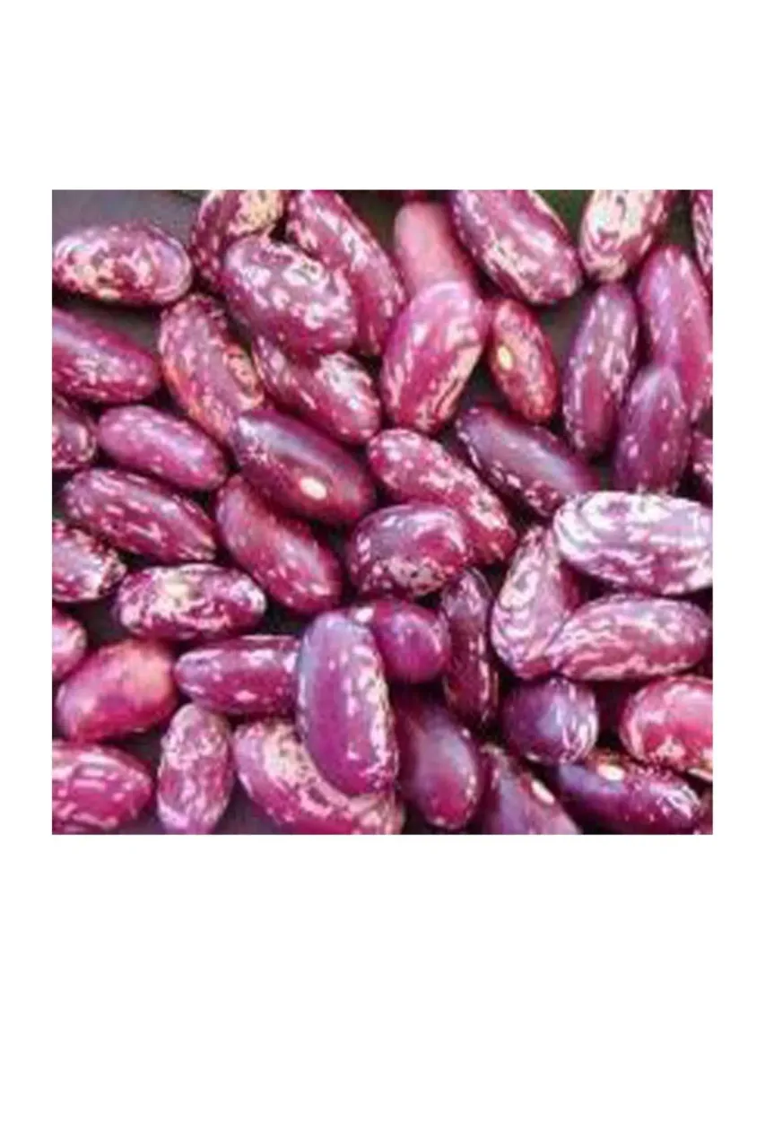 Mutiki Dry Beans 1 kg