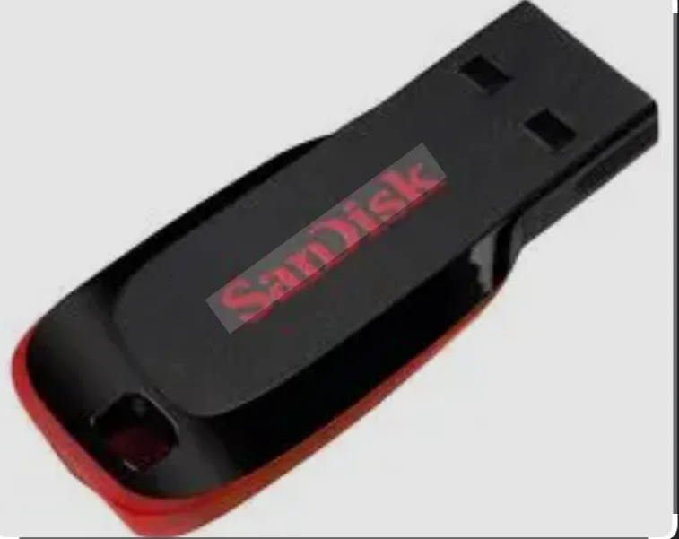 SanDisk Cruzer Blade 32 GB USB flash drive