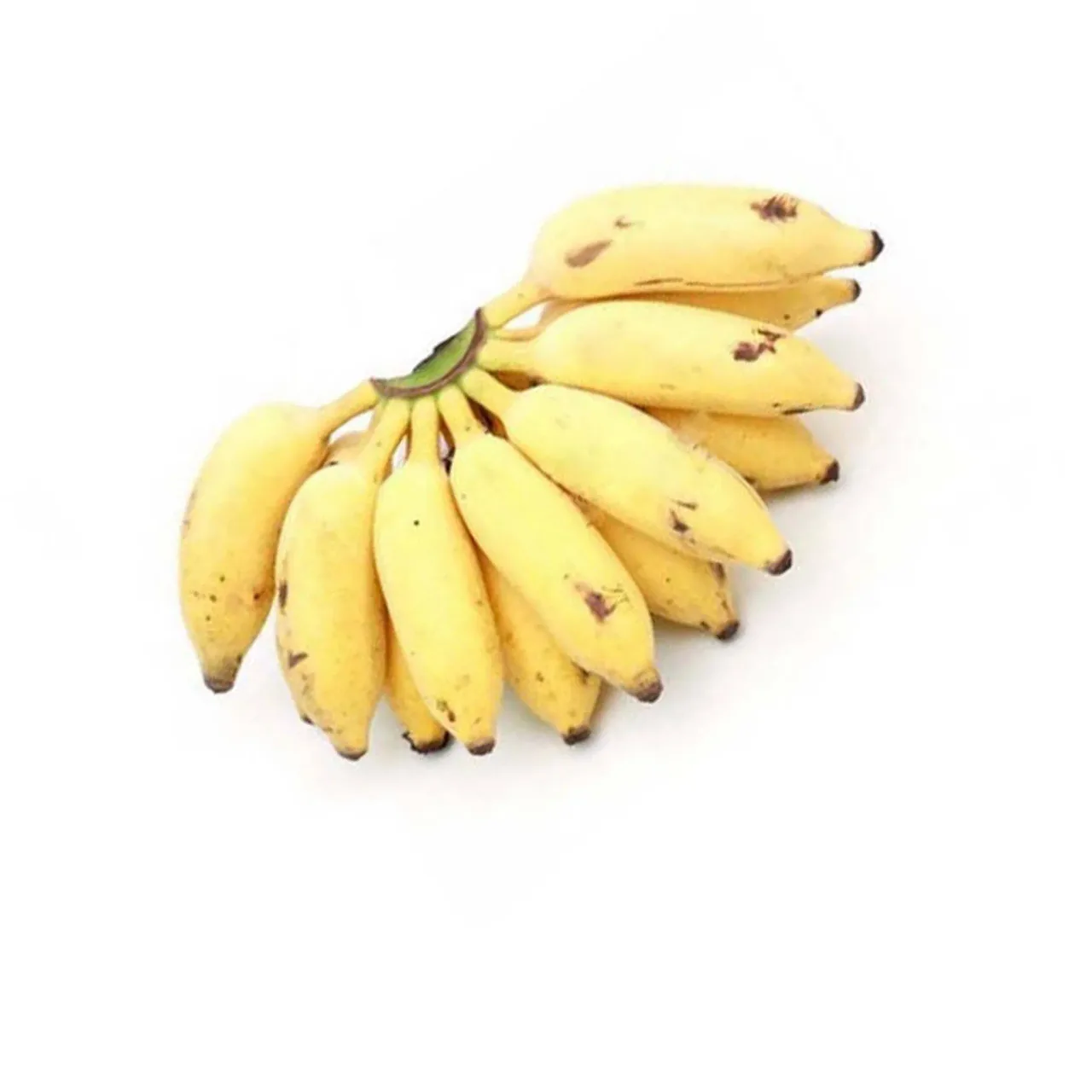 Petites bananes douces (kamara), petit régime