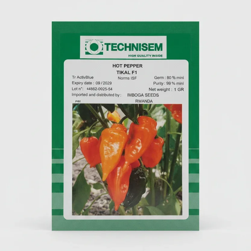 Semences de piment Technisem Tikal F1, sachet