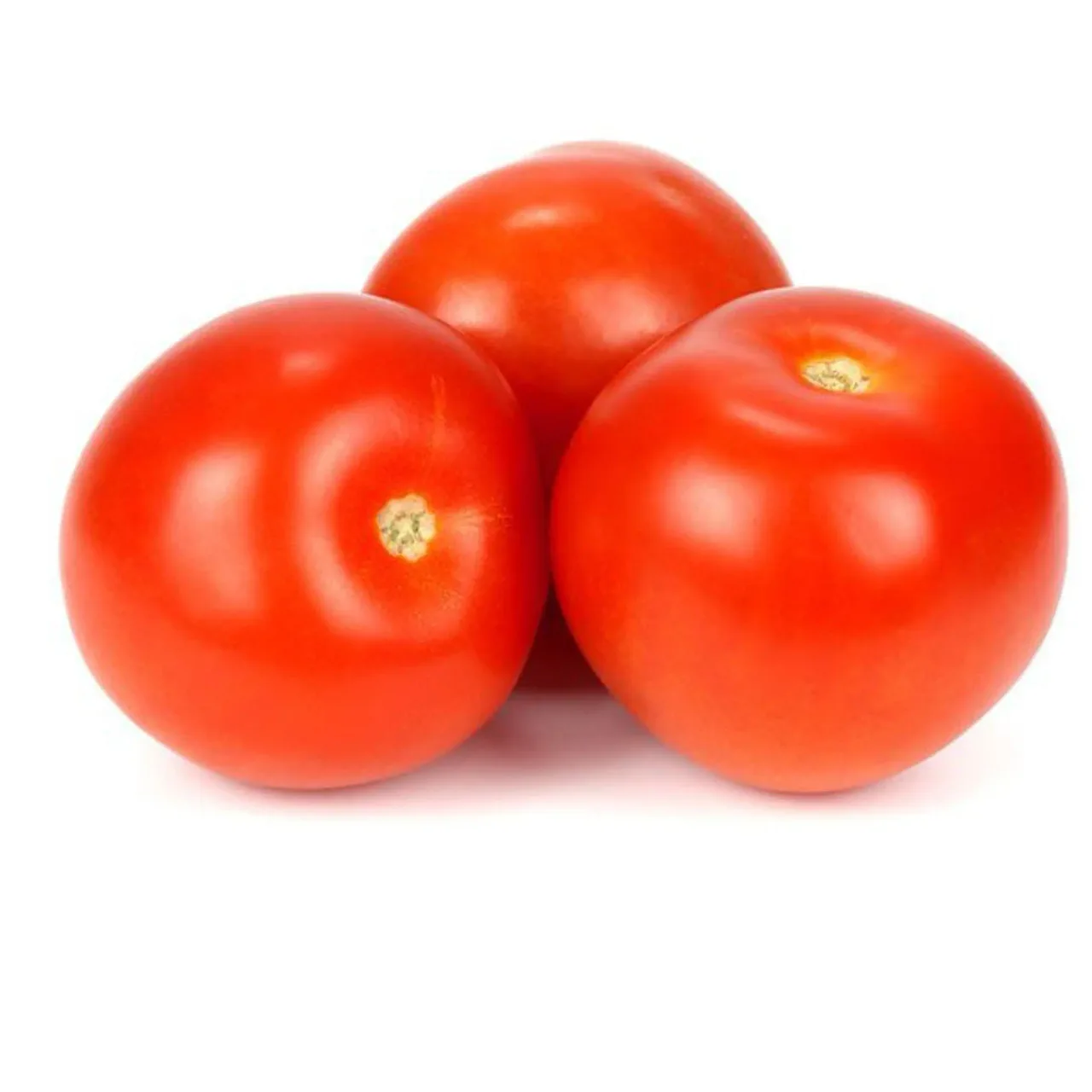Salad Tomatoes 1 kg