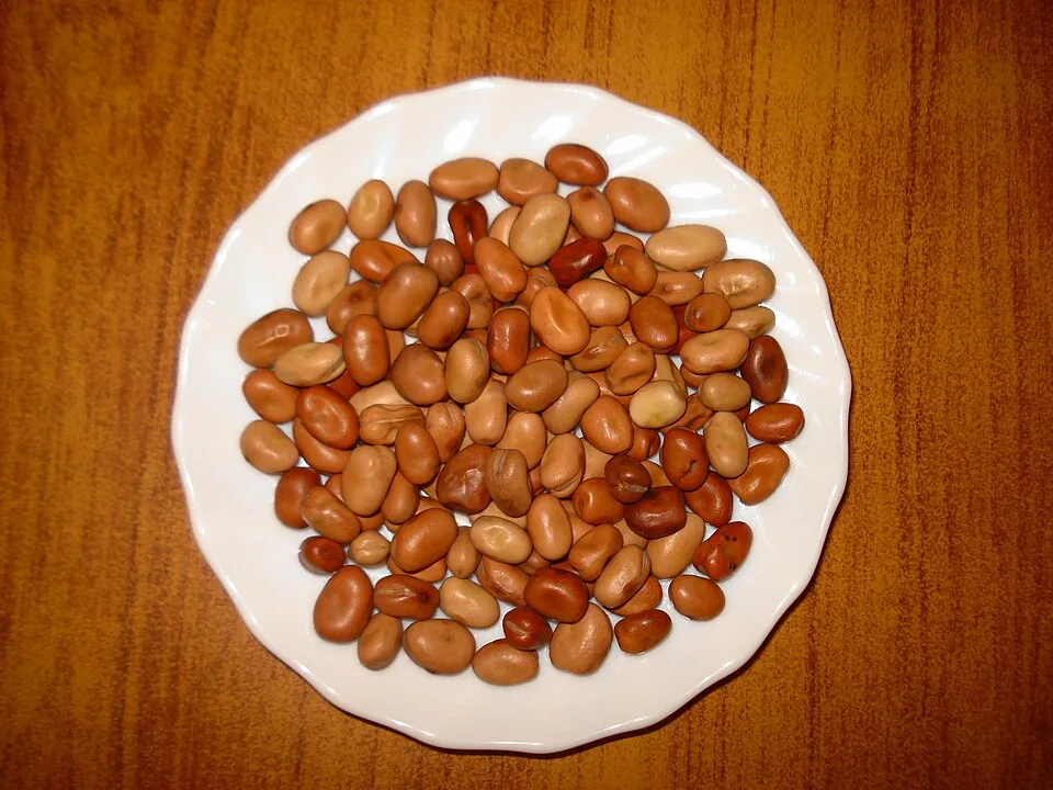 Fava beans (ful), dry, 1 kg