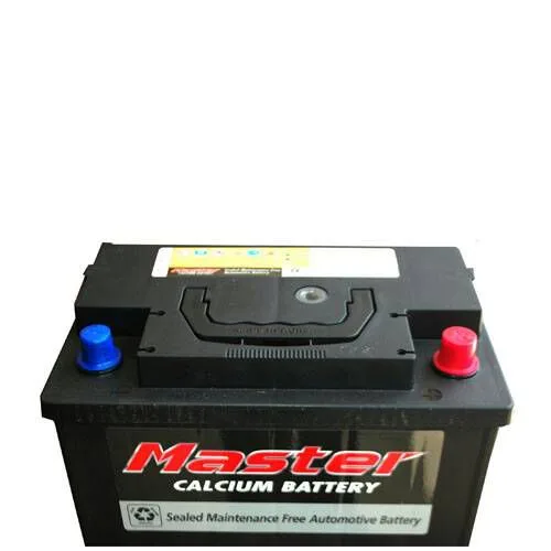 Master 12 V 100 Ah sealed maintenance-free battery