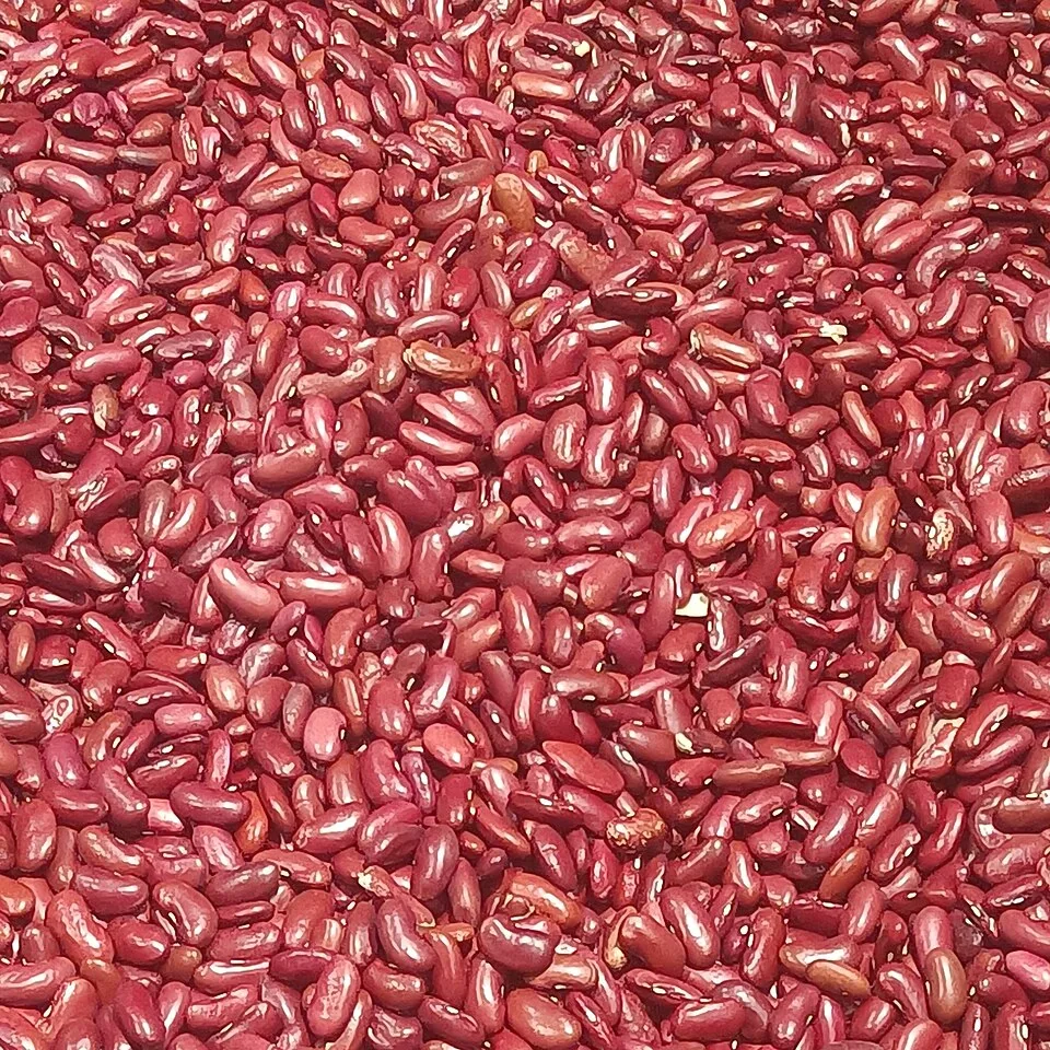 Red beans, dry, 1 kg