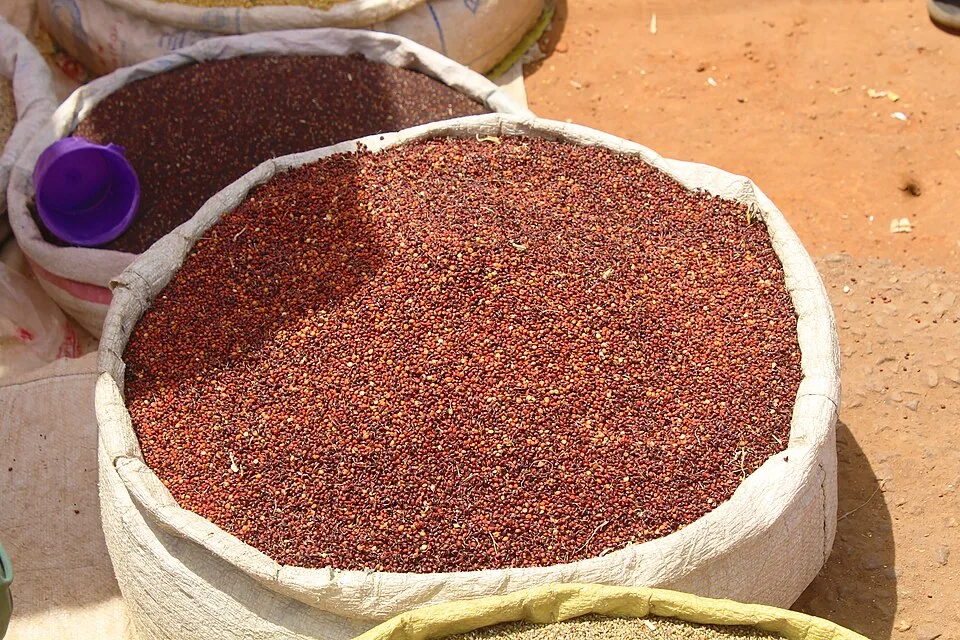 Local red sorghum (dura), one malwa of about 3.5 kg