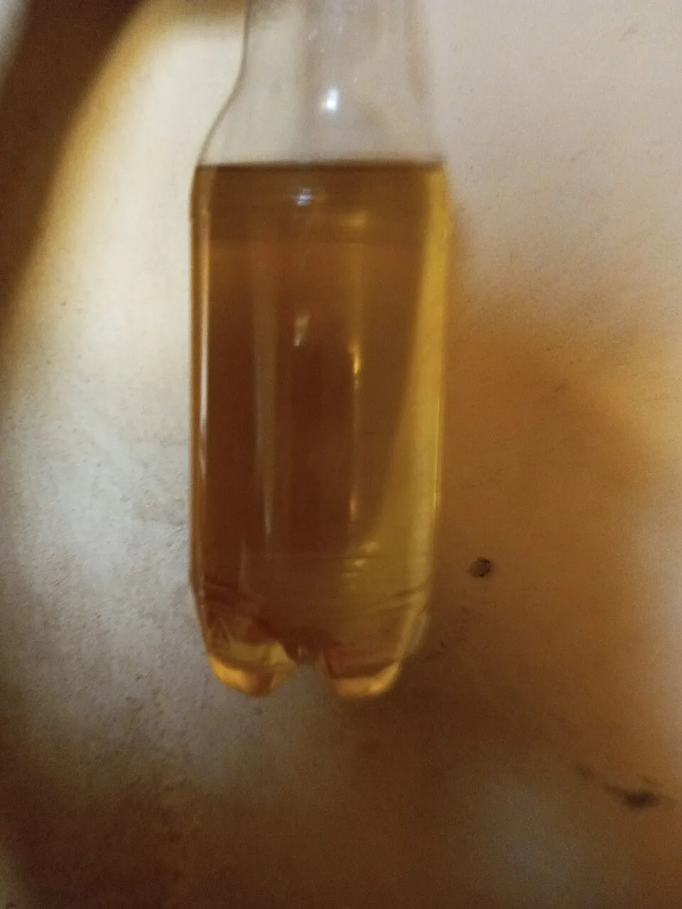 Vegetable cooking oil, loose, 1 L
