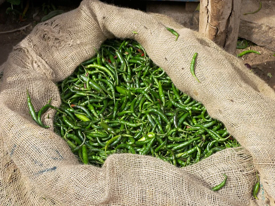 Pilipili mbichi, kwa kilo