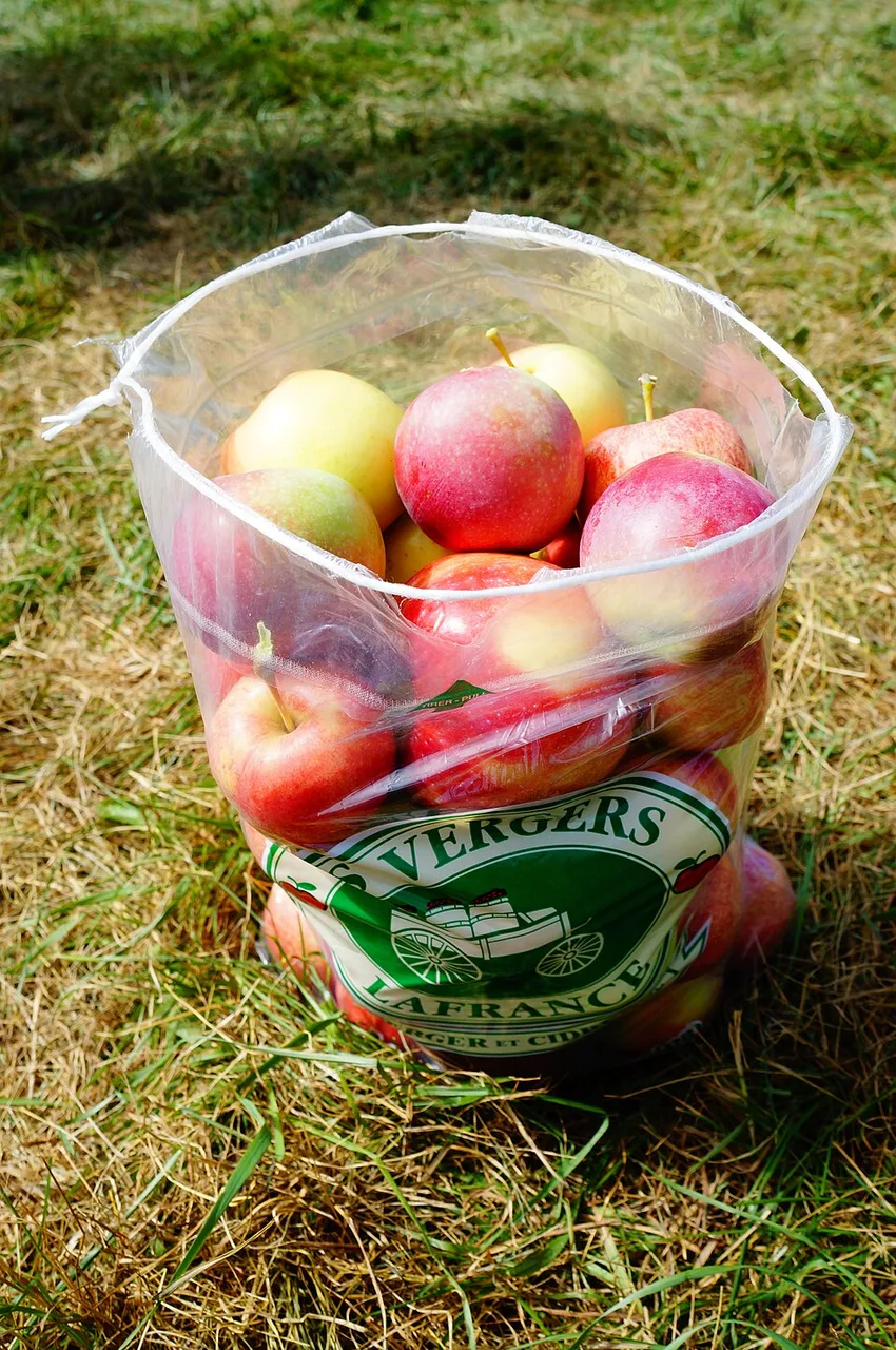 Apples 1 kg bag, class 1