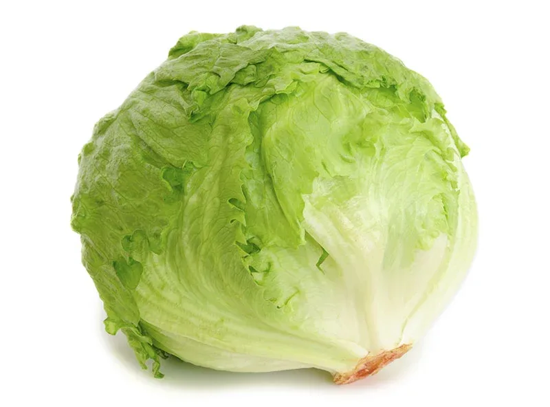 Iceberg lettuce, each