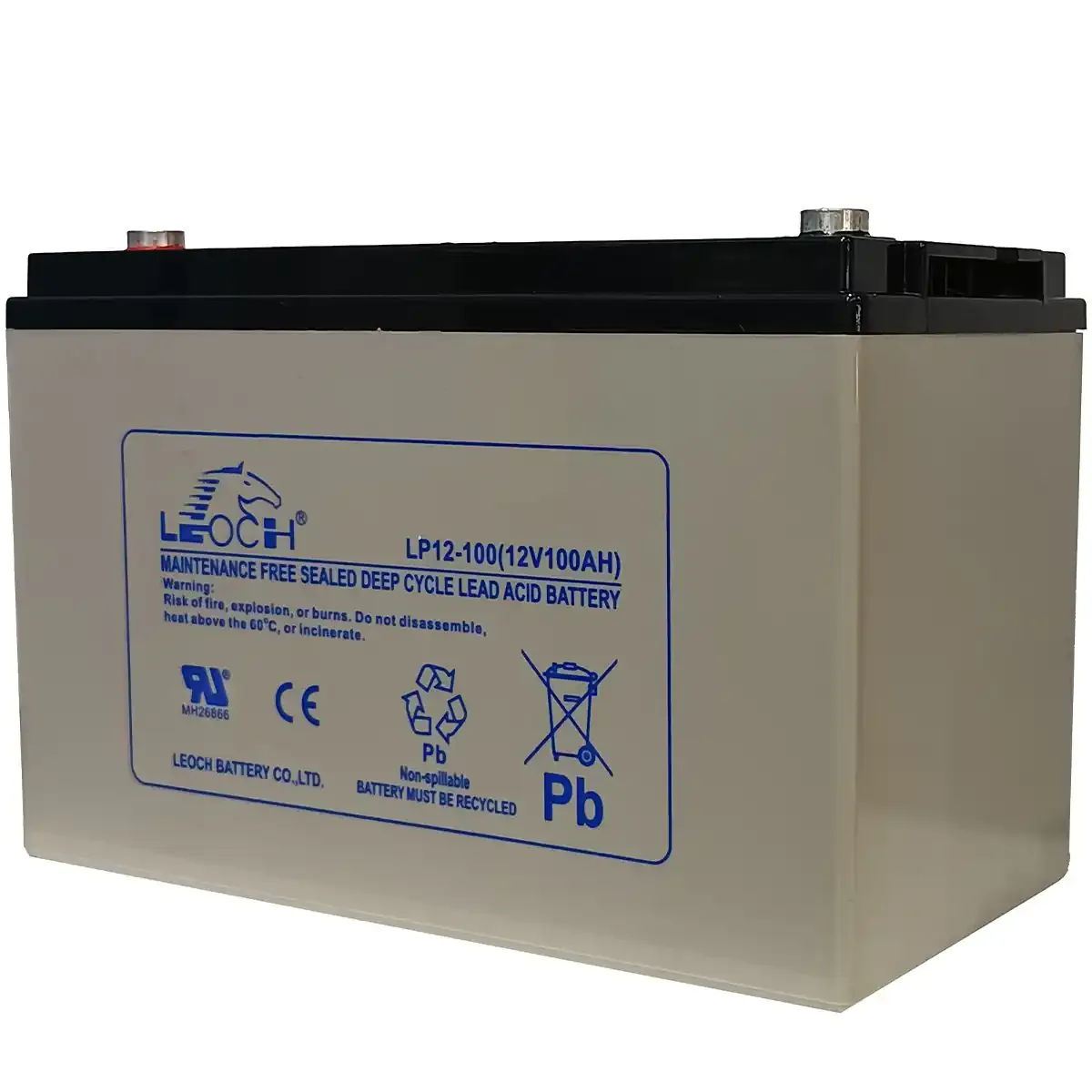 Leoch 12 V 100 Ah sealed solar battery
