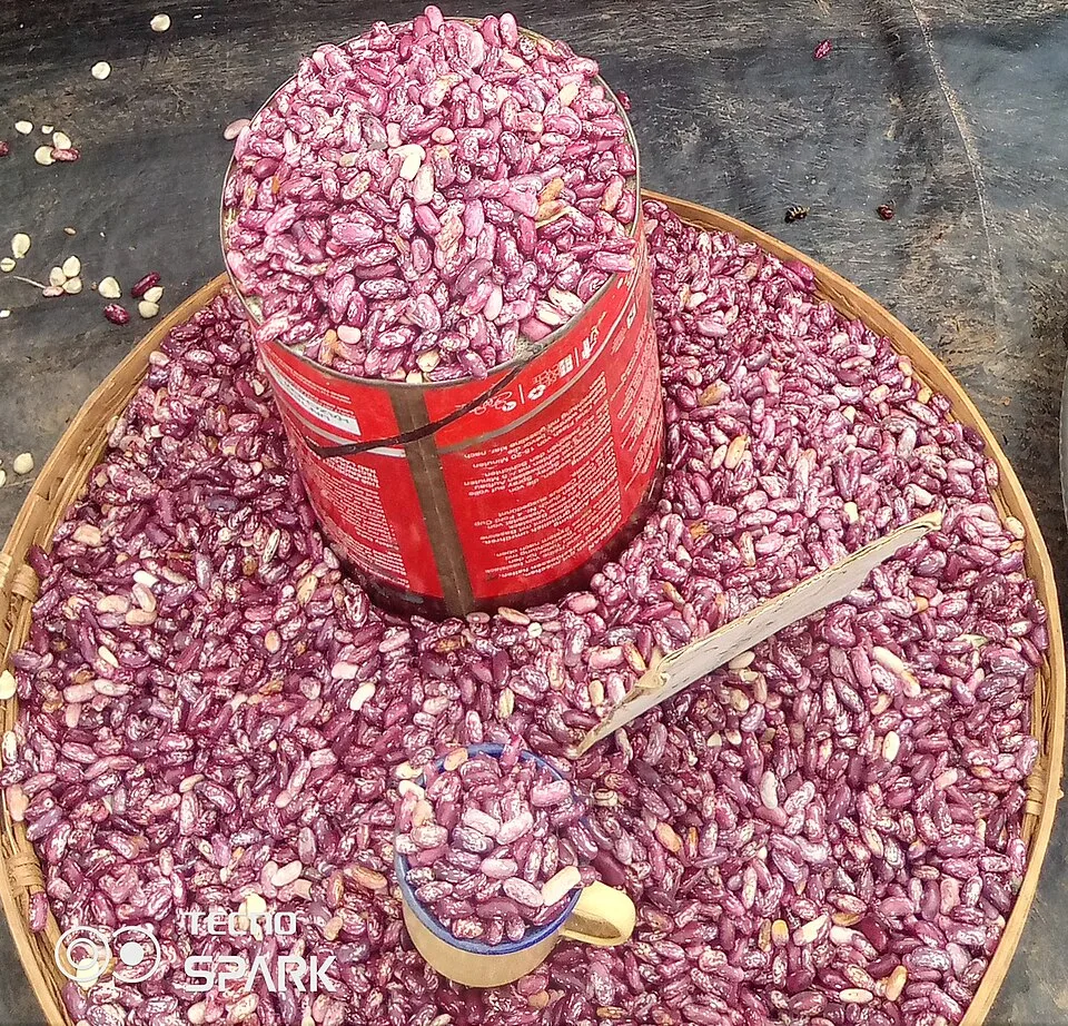 Sugar beans, dry, per kg
