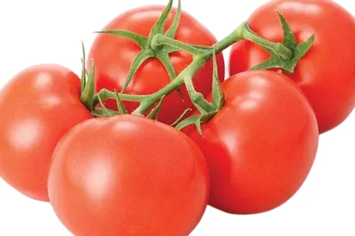 Tomatoes, per kg
