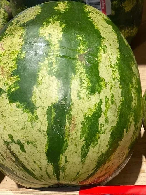 Watermelon, large