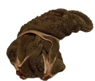 Beef tripe (maguru), about 1 kg