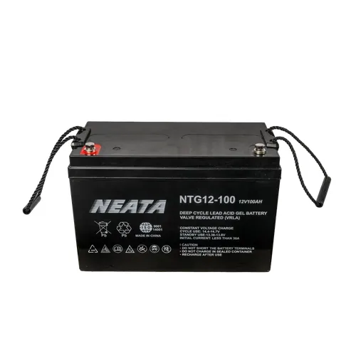 Neata 12 V 100 Ah gel deep-cycle battery