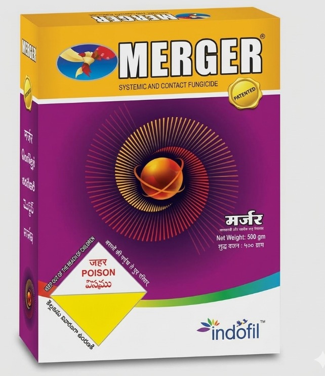 मर्जर