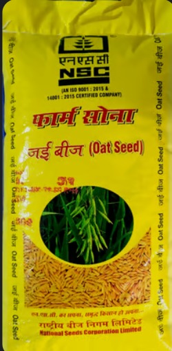 जई  बीज 10 किलोग्राम 
