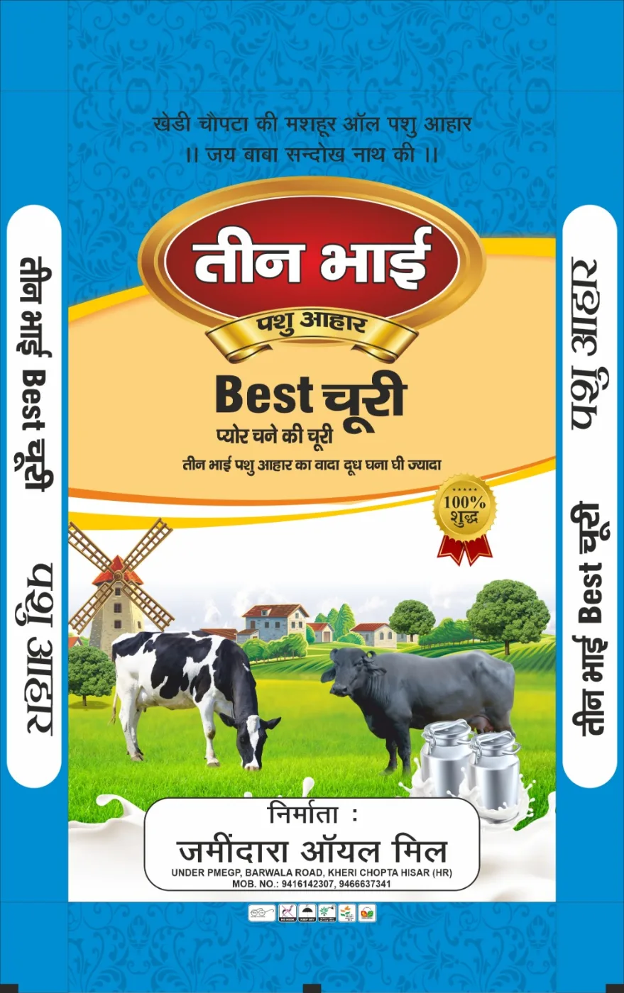 Best Churi Teen Bhai