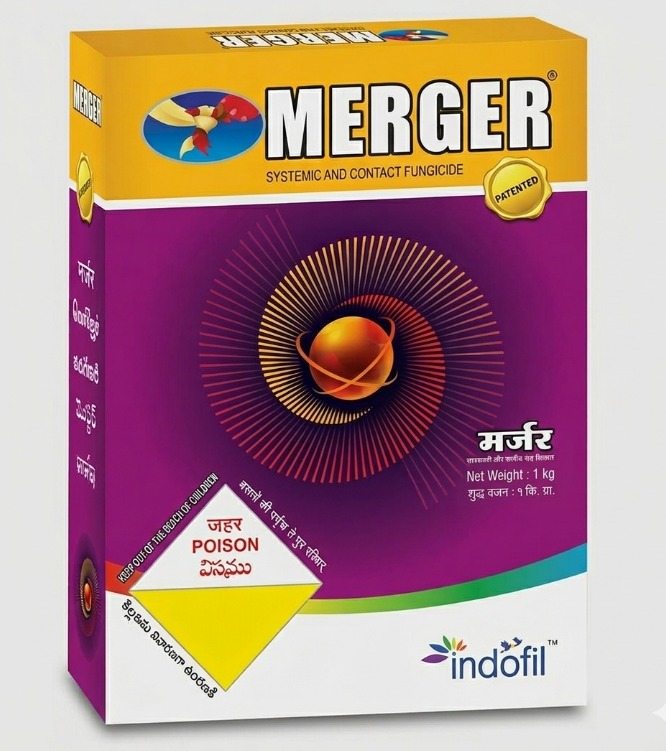 मर्जर 