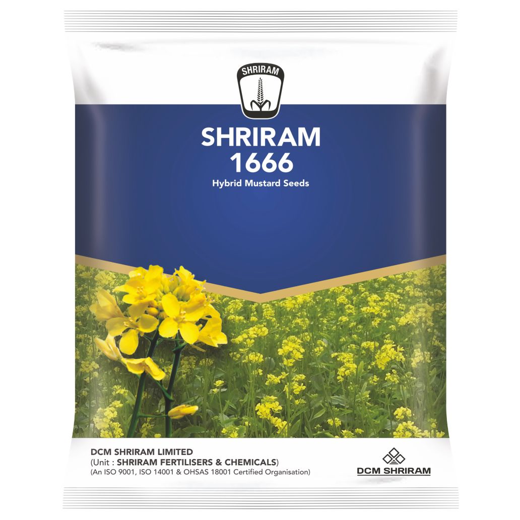 श्रीराम 1666 सरसों 