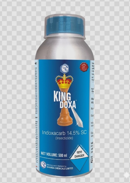 किंग डोक्सा